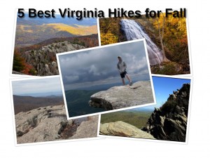 Best Virginia Fall Hikes