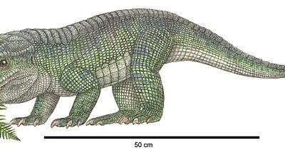 Dinosaurs Found Near Winchester and the Shenandoah Valley